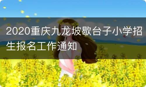 2020重庆九龙坡歇台子小学招生报名工作通知