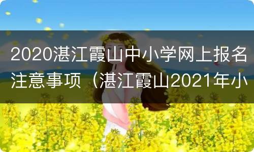 2020湛江霞山中小学网上报名注意事项（湛江霞山2021年小学招生要求）