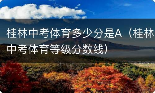 桂林中考体育多少分是A（桂林中考体育等级分数线）