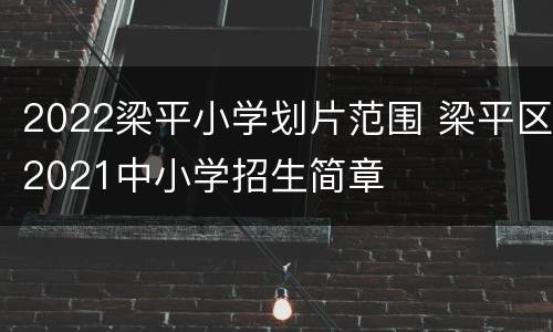2022梁平小学划片范围 梁平区2021中小学招生简章