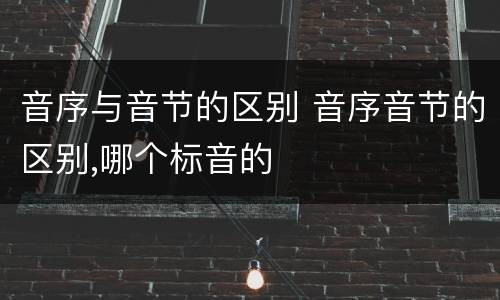 音序与音节的区别 音序音节的区别,哪个标音的