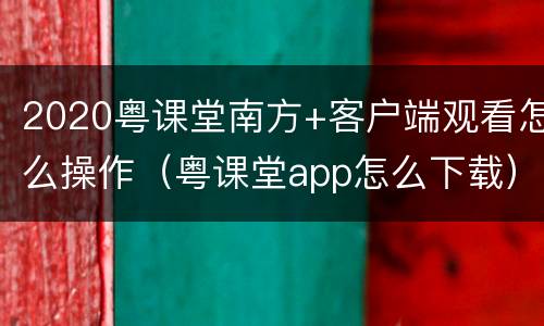 2020粤课堂南方+客户端观看怎么操作（粤课堂app怎么下载）
