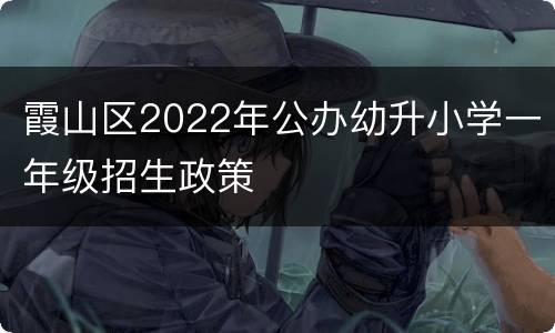霞山区2022年公办幼升小学一年级招生政策