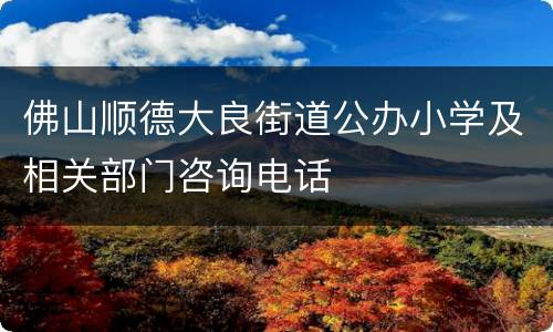佛山顺德大良街道公办小学及相关部门咨询电话