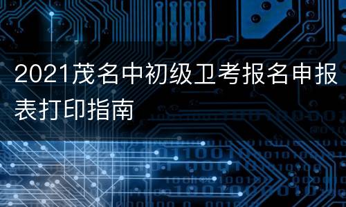 2021茂名中初级卫考报名申报表打印指南