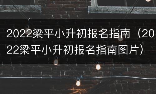 2022梁平小升初报名指南（2022梁平小升初报名指南图片）