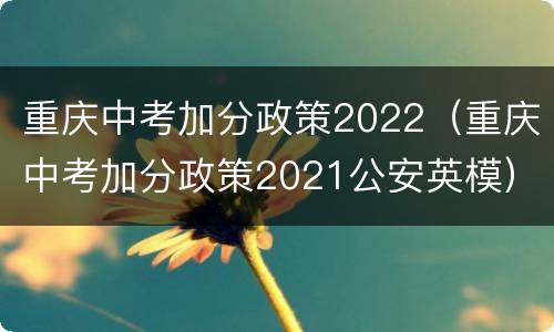 重庆中考加分政策2022（重庆中考加分政策2021公安英模）
