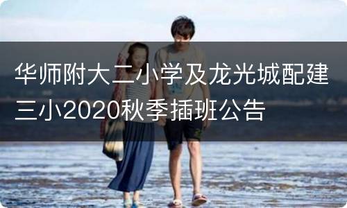 华师附大二小学及龙光城配建三小2020秋季插班公告