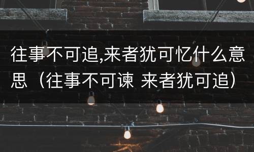往事不可追,来者犹可忆什么意思（往事不可谏 来者犹可追）