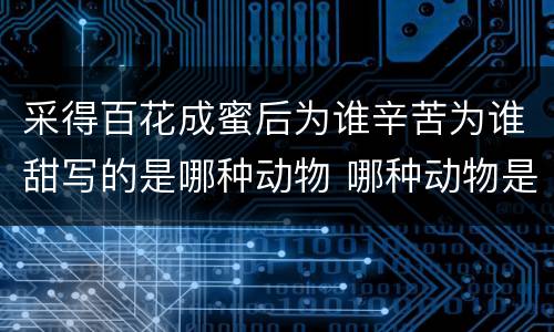 采得百花成蜜后为谁辛苦为谁甜写的是哪种动物 哪种动物是专门采蜜的