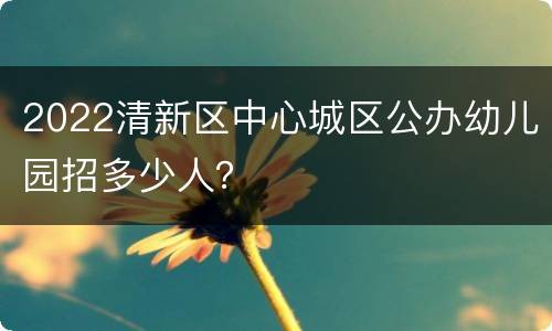 2022清新区中心城区公办幼儿园招多少人？