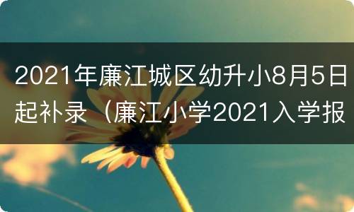 2021年廉江城区幼升小8月5日起补录（廉江小学2021入学报名网站）