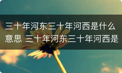 三十年河东三十年河西是什么意思 三十年河东三十年河西是什么意思解释