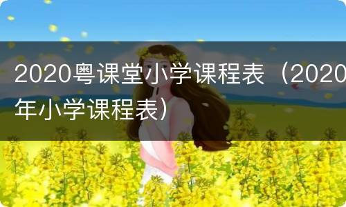 2020粤课堂小学课程表（2020年小学课程表）