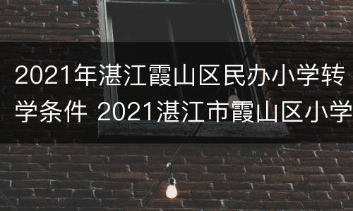 2021年湛江霞山区民办小学转学条件 2021湛江市霞山区小学转学