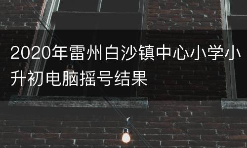 2020年雷州白沙镇中心小学小升初电脑摇号结果