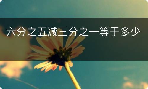 六分之五减三分之一等于多少