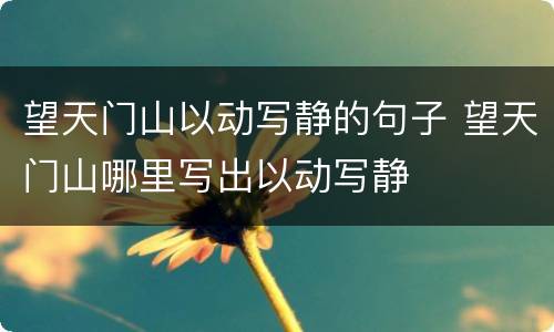 望天门山以动写静的句子 望天门山哪里写出以动写静