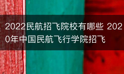 2022民航招飞院校有哪些 2020年中国民航飞行学院招飞