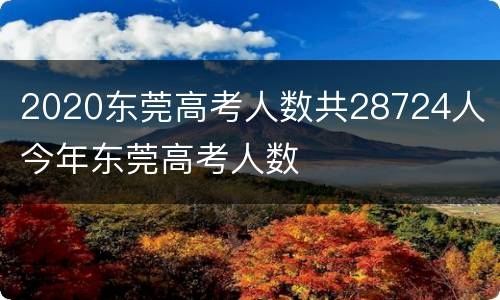 2020东莞高考人数共28724人 今年东莞高考人数