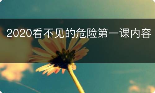 2020看不见的危险第一课内容