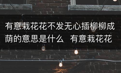 有意栽花花不发无心插柳柳成荫的意思是什么  有意栽花花不发无心插柳柳成荫是什么意思