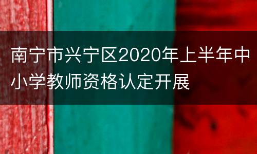 南宁市兴宁区2020年上半年中小学教师资格认定开展