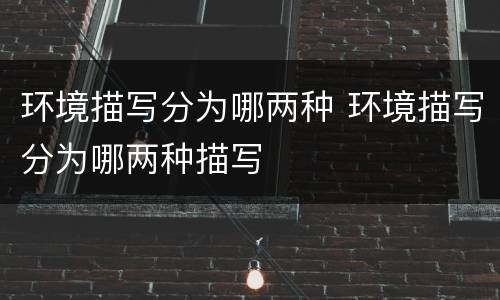 环境描写分为哪两种 环境描写分为哪两种描写