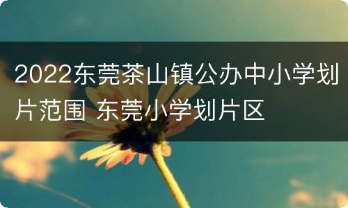 2022东莞茶山镇公办中小学划片范围 东莞小学划片区