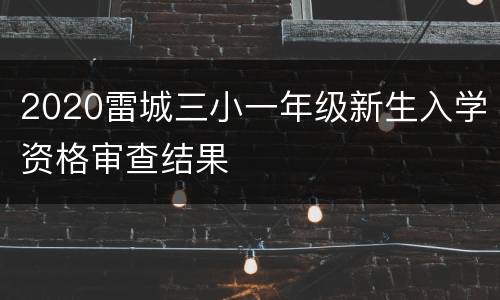 2020雷城三小一年级新生入学资格审查结果