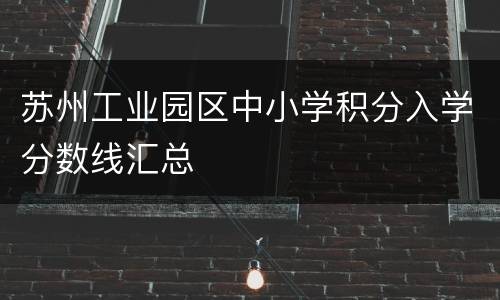 苏州工业园区中小学积分入学分数线汇总
