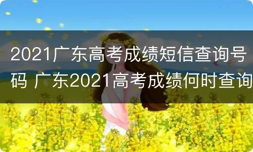 2021广东高考成绩短信查询号码 广东2021高考成绩何时查询