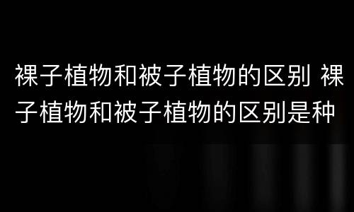 裸子植物和被子植物的区别 裸子植物和被子植物的区别是种子外是否有什么包被
