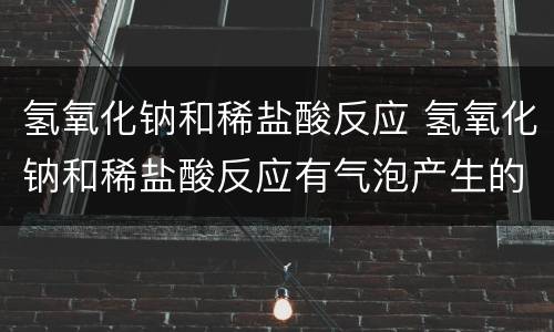 氢氧化钠和稀盐酸反应 氢氧化钠和稀盐酸反应有气泡产生的原因