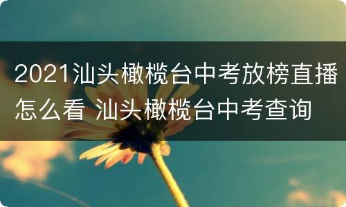 2021汕头橄榄台中考放榜直播怎么看 汕头橄榄台中考查询