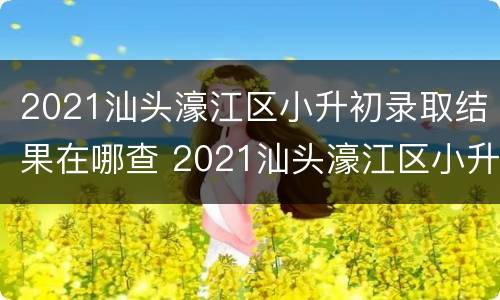 2021汕头濠江区小升初录取结果在哪查 2021汕头濠江区小升初录取结果在哪查