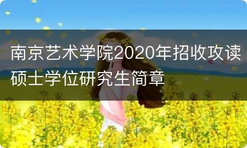 南京艺术学院2020年招收攻读硕士学位研究生简章
