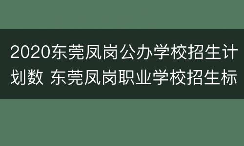 2020东莞凤岗公办学校招生计划数 东莞凤岗职业学校招生标准