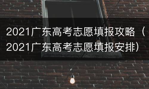 2021广东高考志愿填报攻略（2021广东高考志愿填报安排）