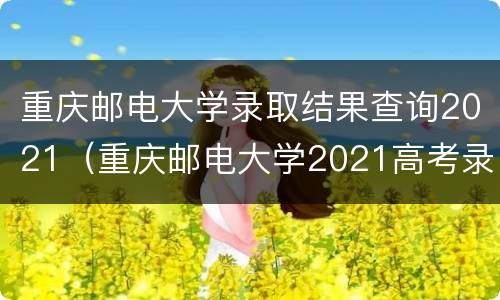 重庆邮电大学录取结果查询2021（重庆邮电大学2021高考录取查询）