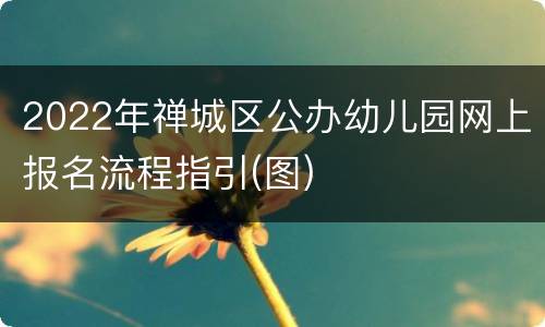 2022年禅城区公办幼儿园网上报名流程指引(图)
