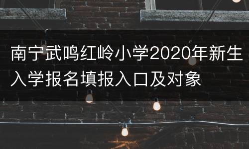 南宁武鸣红岭小学2020年新生入学报名填报入口及对象