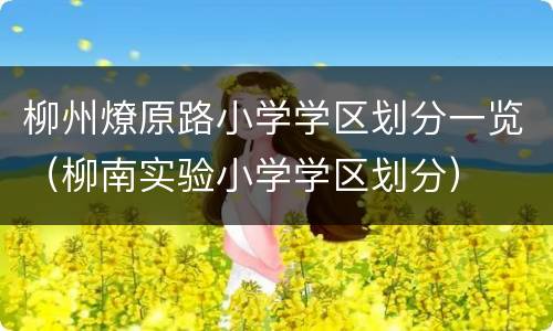 柳州燎原路小学学区划分一览（柳南实验小学学区划分）