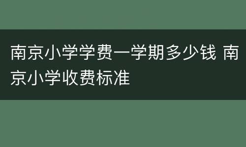 南京小学学费一学期多少钱 南京小学收费标准