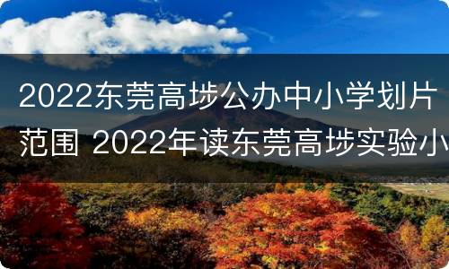 2022东莞高埗公办中小学划片范围 2022年读东莞高埗实验小学