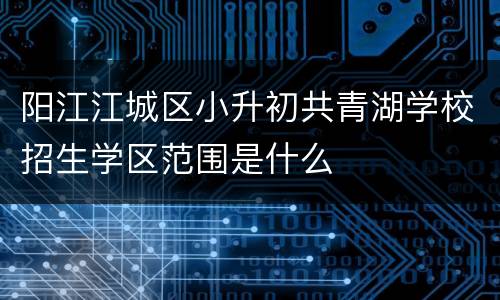 阳江江城区小升初共青湖学校招生学区范围是什么