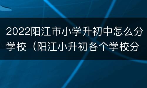 2022阳江市小学升初中怎么分学校（阳江小升初各个学校分数线）