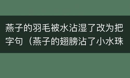 燕子的羽毛被水沾湿了改为把字句（燕子的翅膀沾了小水珠,所以飞不高对吗?）