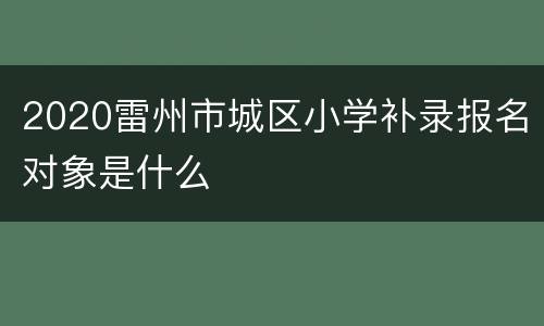 2020雷州市城区小学补录报名对象是什么