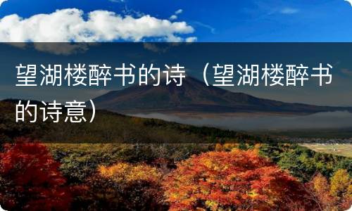 望湖楼醉书的诗（望湖楼醉书的诗意）